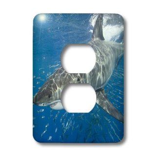 3dRose LLC lsp_46321_6 Great White Shark, Carcharodon Carcharias, Also Known As White Pointer and White Death Mexico 2 Plug Outlet Cover   Outlet Plates  