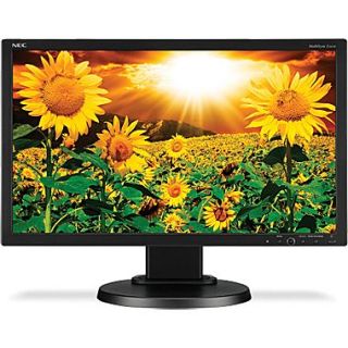 NEC 1600 x 900 E201W BK 20 Eco Friendly Widescreen LED LCD Desktop Monitor