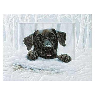 Let's Play Black Lab Christmas Cards Sports & Outdoors