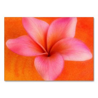 Plumeria Frangipani Hawaii Flower Customized Blank Business Card Templates