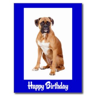 Happy Birthday Boxer Puppy Dog  Postcard