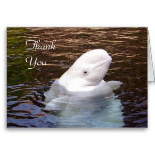 Beluga whale thank you card