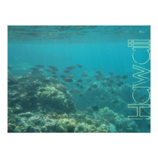 Underwater scene coral reef Hawaii poster
