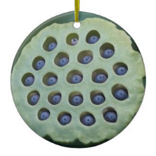 American Lotus Seed Pod Ornament