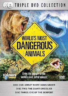 World's Most Dangerous Animals Movies & TV