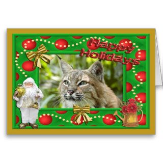 c bobcat 264 c greeting card
