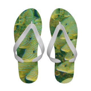 Yellow and Green Striped School of Fish Flip Flops