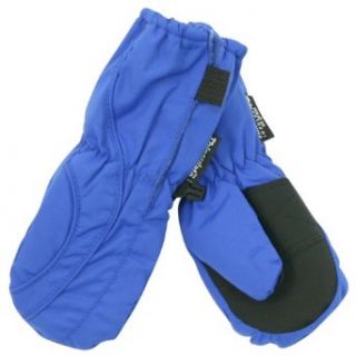 Toddler Boy's (2   4) Long Thinsulate Lined / Wateproof Ski Mittens   Royal Clothing