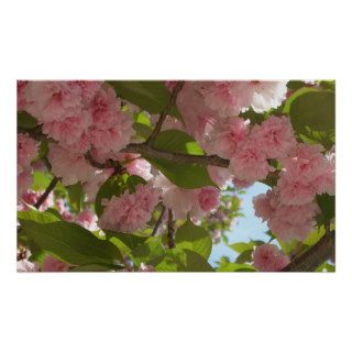 Double Blossoming Cherry Tree III Print