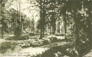 1940s Vintage Postcard Edisto Gardens near Orangeburg South Carolina (Conoco Touraide Promotional Item) 