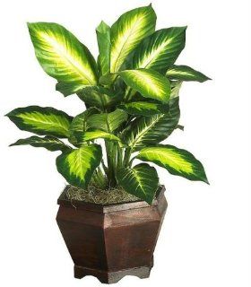Nearly Natural 6592 05 Golden Dieffenbachia with Wood Vase Decorative Silk Plant, Green   Artificial Plants