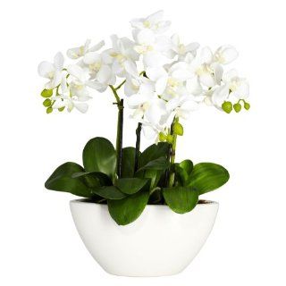 Nearly Natural 4804 Phalaenopsis Silk Flower Arrangement, White   Artificial Plants
