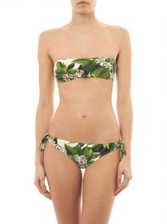 Lemon blossom print bikini briefs  Dolce & Gabbana  MATCHESF