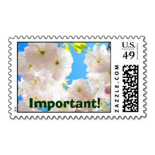 Important postage stamps Pink Fluffy Blossoms