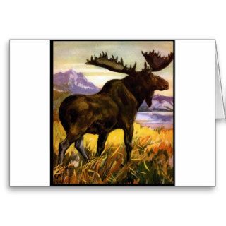 Moose Shirts and Gifts 63 Greeting Cards