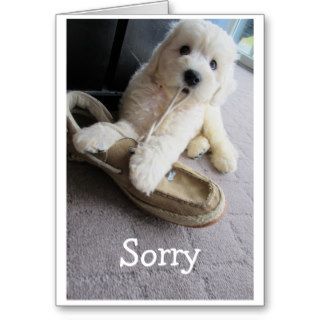 I'm Sorry, Cute Goldendoodle pup Humor Card