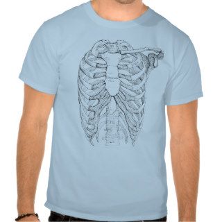 My Torso Anatomy T Shirt