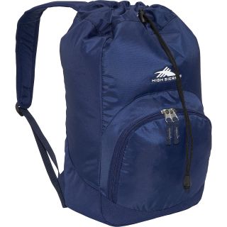 High Sierra Synch Backpack