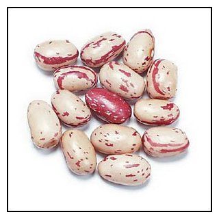 Cranberry Beans (Borlotti)   5 Lbs   Food to Live Brand  Dried Kidney Beans  Grocery & Gourmet Food