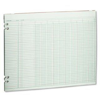 Accounting Sheets, 10 Columns, 11 x 14, 100 Loose Sheets/Pack, Green by WILSON JONES (Catalog Category Forms, Record Keeping & Reference / Forms)