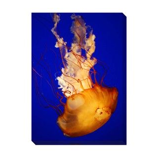 Glow Oversized Gallery Wrapped Canvas Canvas