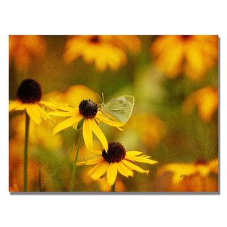 Lois Bryan 'Butterfly on a Flower' Canvas Art Trademark Fine Art Canvas