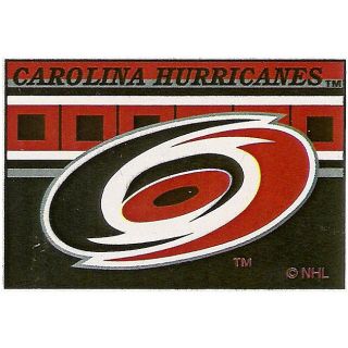 Officially Licensed NHL Carolina Hurricanes Rug (1'6 x 2'4) Bush Accent Rugs