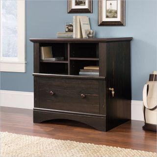 Sauder Harbor View Lateral File in Antiqued Paint   403681