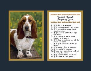 Basset Hound Property Laws Wall Decor Pet Dog Saying Gift   Decorative Plaques