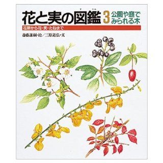 (Picture book of real and flower) to flower, fruit, seed from the tree flower bud seen in parks and gardens (1992) ISBN 4039710304 [Japanese Import] Mihara Michihiro 9784039710307 Books