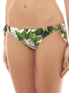 Lemon blossom print bikini briefs  Dolce & Gabbana  MATCHESF