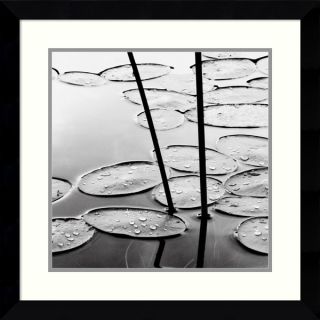 David Gray Lily Pads, Sunrise Framed Art Print 27 x 27 inch