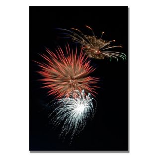 Abstract Fireworks 36 Wall Art by Kurt Shaffer