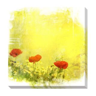 Mark Lawrence Revealed Giclee Print Canvas Wall Art