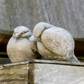 Campania International Bird Duet Cast Stone Garden Statue   Garden Statues