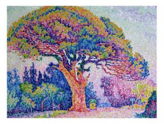 The Pine Tree at St Tropez 1909 Canvas Art by Paul Signac