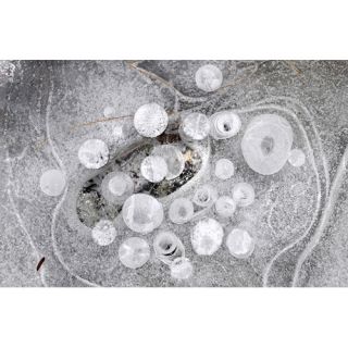 Zatista Limited Edition Ice #1 by Thurston Howes Photographic Print
