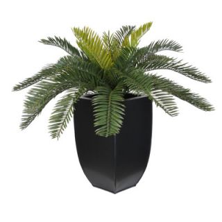 House of Silk Flowers Artificial Cycas Palm Floor Plant in Planter