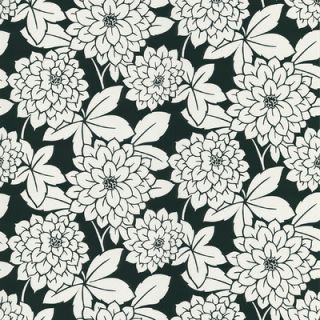 Brewster Home Fashions Ink Zinnia 33 x 20.5 Floral and Botanical
