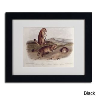 John James Audubon Prairie Dog Framed Matted Art