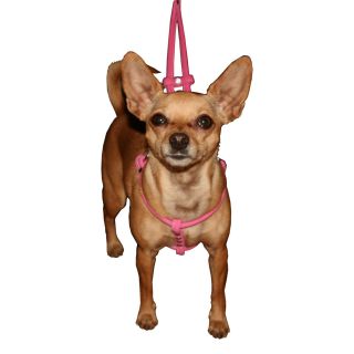 Hip Doggie Pink Micro   Suede Step   in Harness