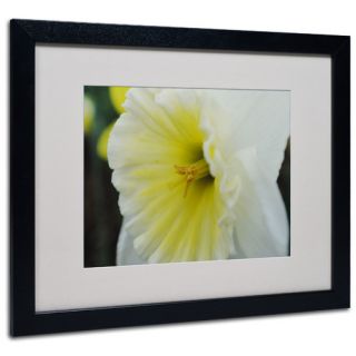 Vitality by Monica Fleet Matted Framed Photographic Print