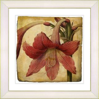 Vintage Botanical No. 01A by Zhee Singer Framed Giclee Print Fine Wall