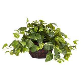 Nearly Natural Pothos Desk Top Plant in Planter