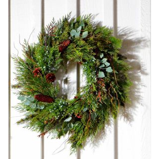 Sage & Co 24 inch Mountain Pine Christmas Wreath (Pack of 2)