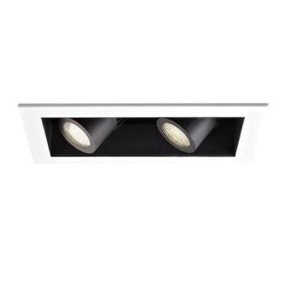 WAC Lighting 2 Light LED Precision Module Recessed Trim