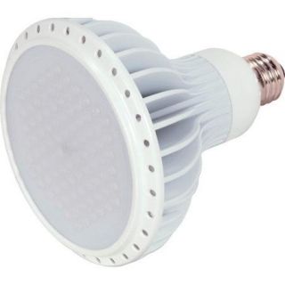 Satco 120 Volts LED Light Bulb
