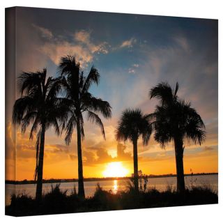 Steven Ainsworth Tropical Sunset Gallery Wrapped Canvas