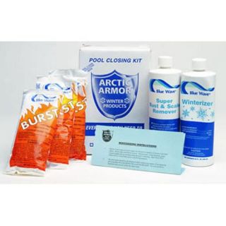 Arctic Armor Swimming Pool Winterizing Chemical KChemicals Chlorine (NY912)