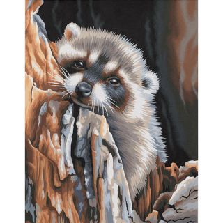 Dimensions Daydreaming Raccoon Paint By Number Kit (11 x 14